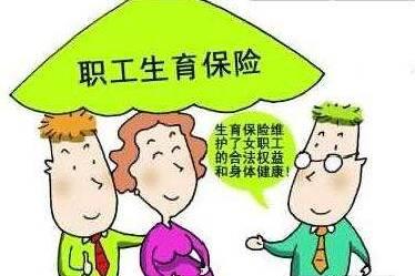 最新生育表揭示的人口变化与挑战，未来挑战与应对策略